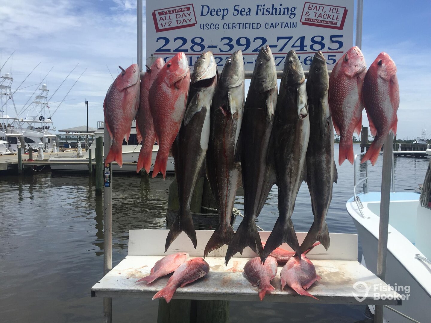 Opening Day of 2017 Red Snapper Season.