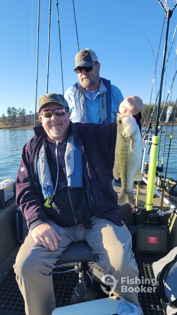 Harrison Report Photo 0