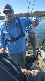 Harrison Report Photo 2