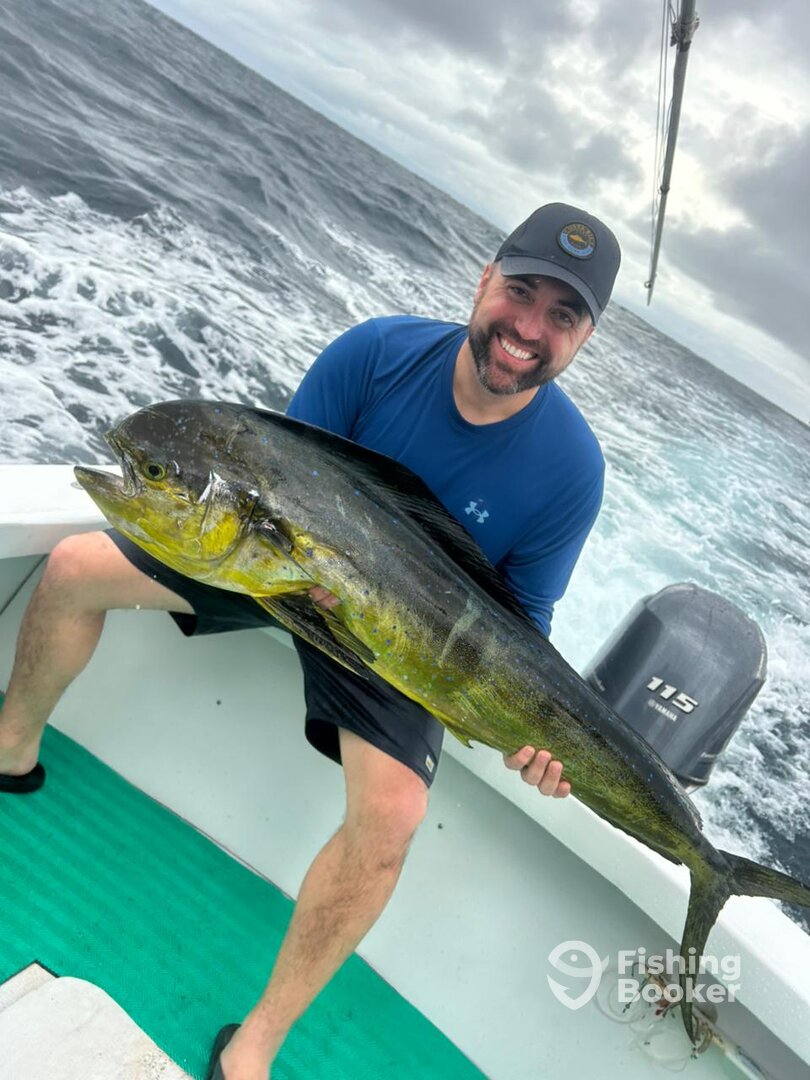 Herradura Report Photo 0