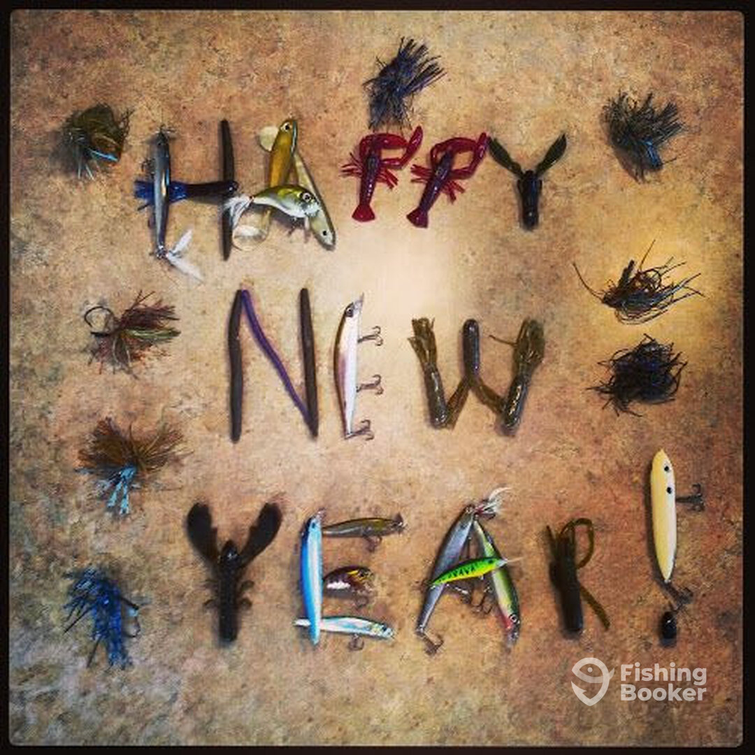 Palmer Report Photo 0