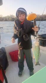 San Antonio Report Photo 1