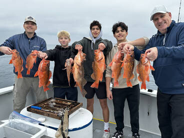 Last Day for Rockcod 12/31/24