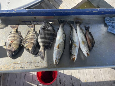 Foto Report St. Petersburg 2