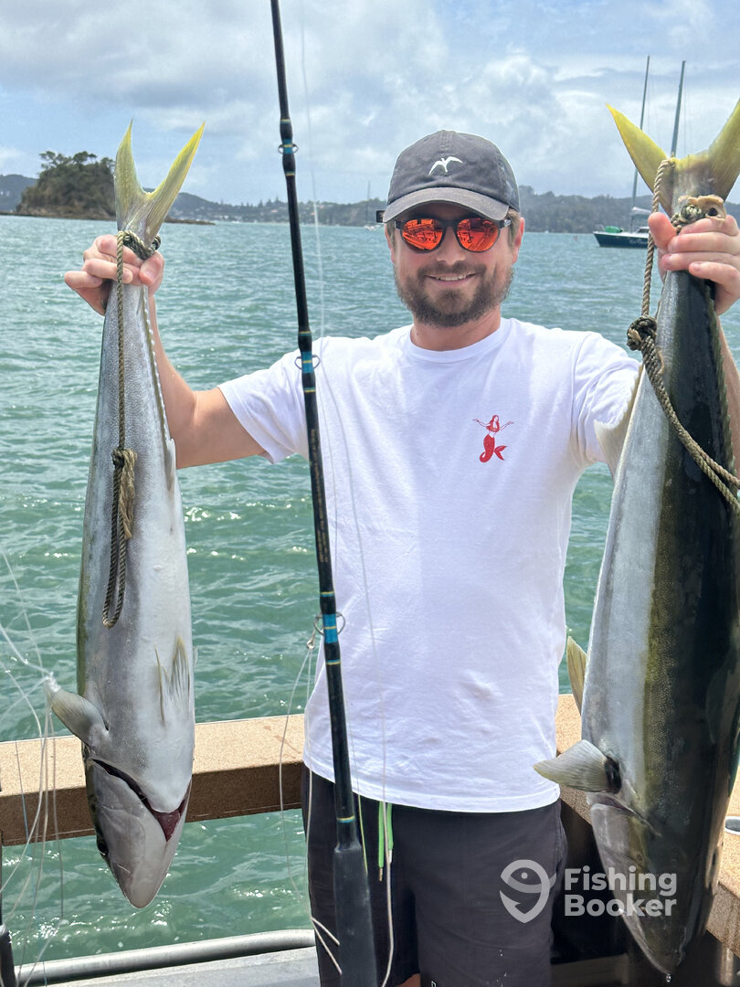 Paihia Report Photo 0