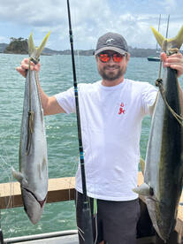 Big kingfish no rats, skinnies, muntered