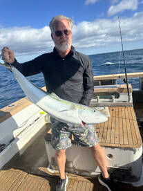 Paihia Report Photo 2