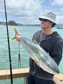 Paihia Report Photo 1