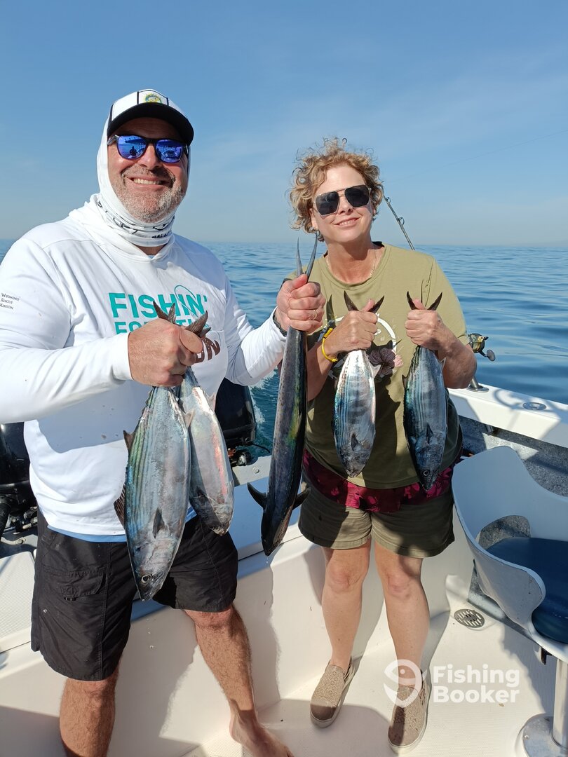 Puerto Vallarta Report Photo 0