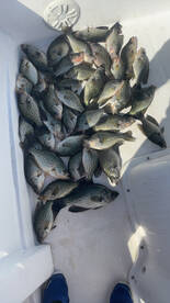 Clewiston Report Photo 1