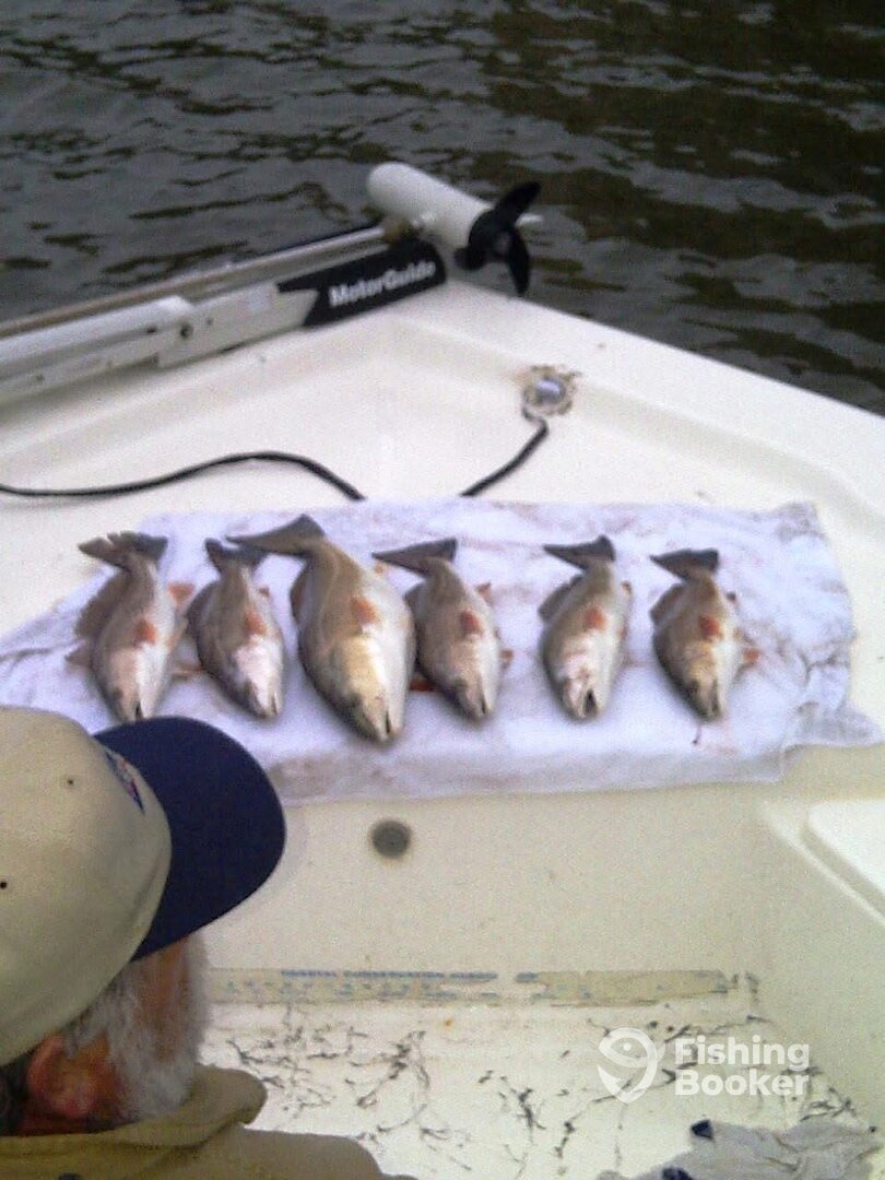 Houston Report Photo 0