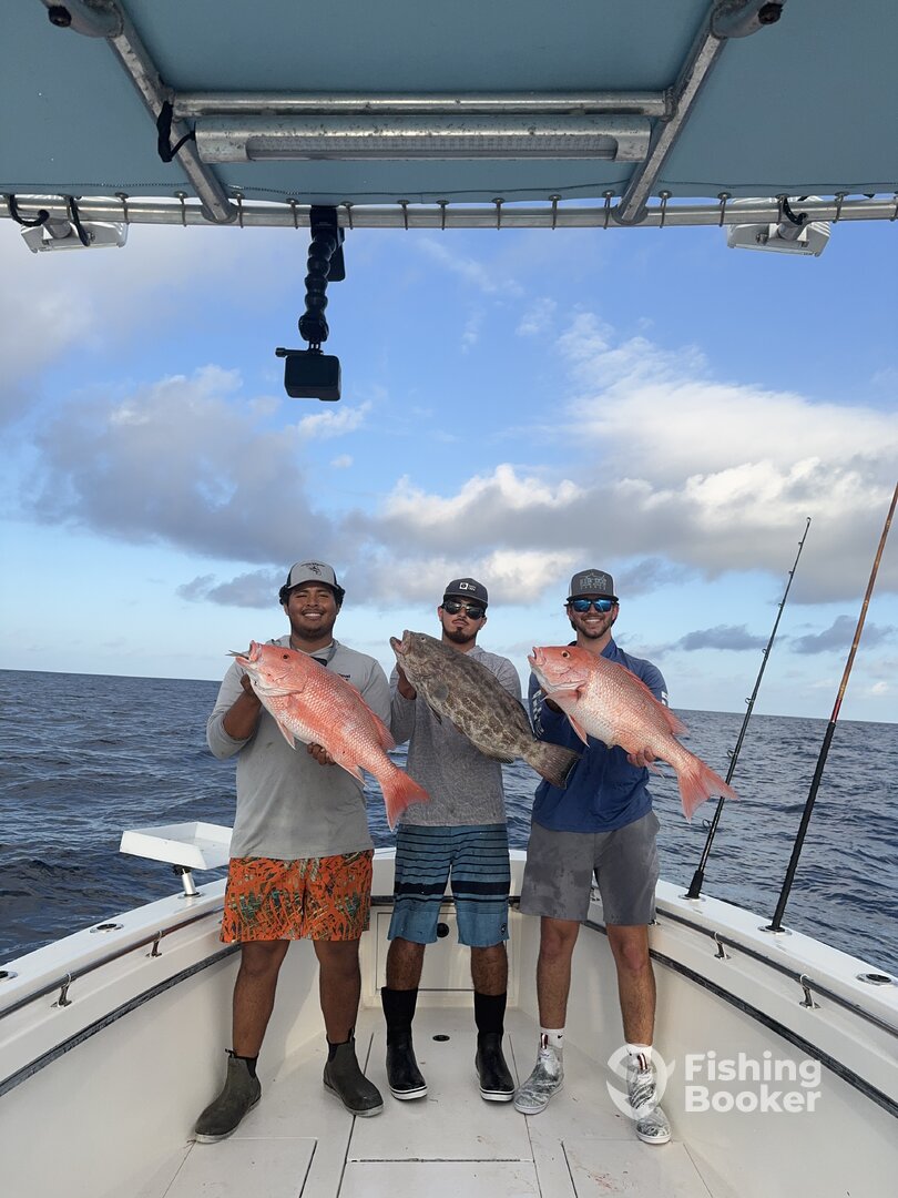 Fort Lauderdale Report Photo 0