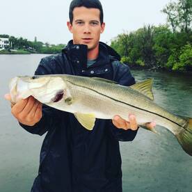 Sarasota Report Photo 2