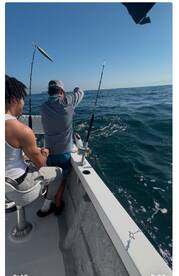 Puerto Vallarta Report Photo 2