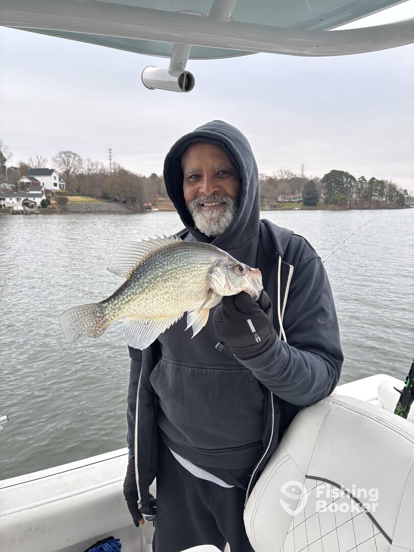 Tega Cay Report Photo 0