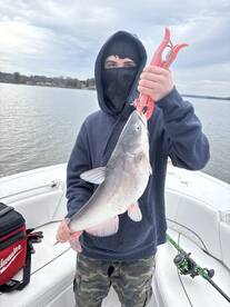 Tega Cay Report Photo 2