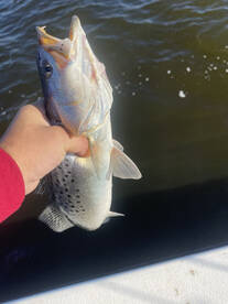 River Road Report Photo 2