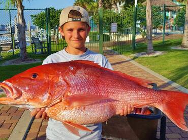 Big Sow Snapper