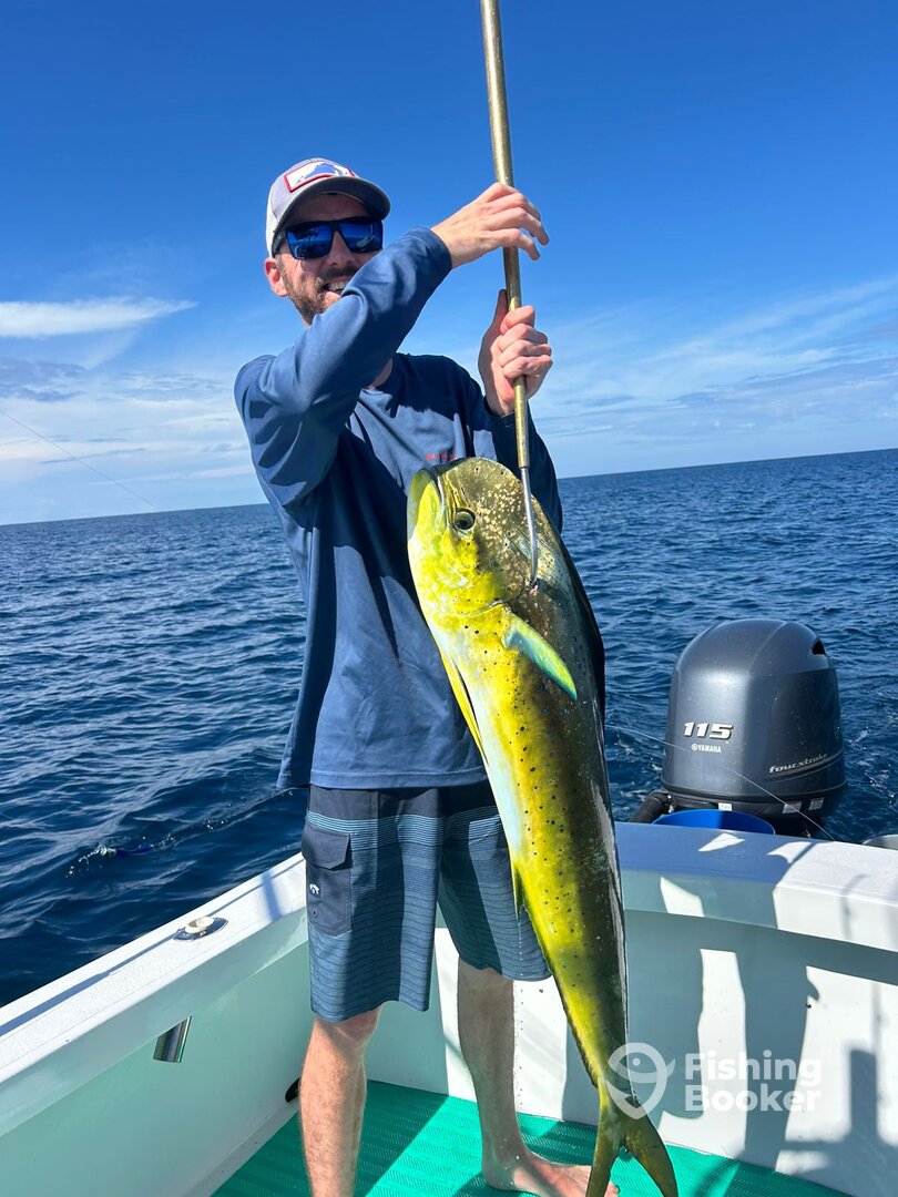 Herradura Report Photo 0