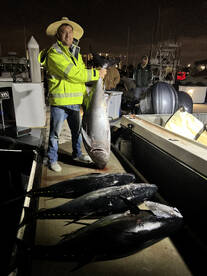 Kite Fish Are In Range!!!!!!!! 