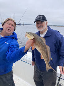 D'Iberville Report Photo 1