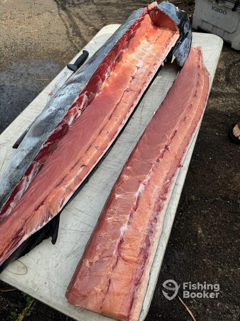 Haleiwa Report Photo 0