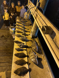 Rockport winter Gigging