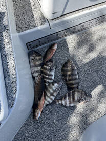 Tampa Report Photo 1