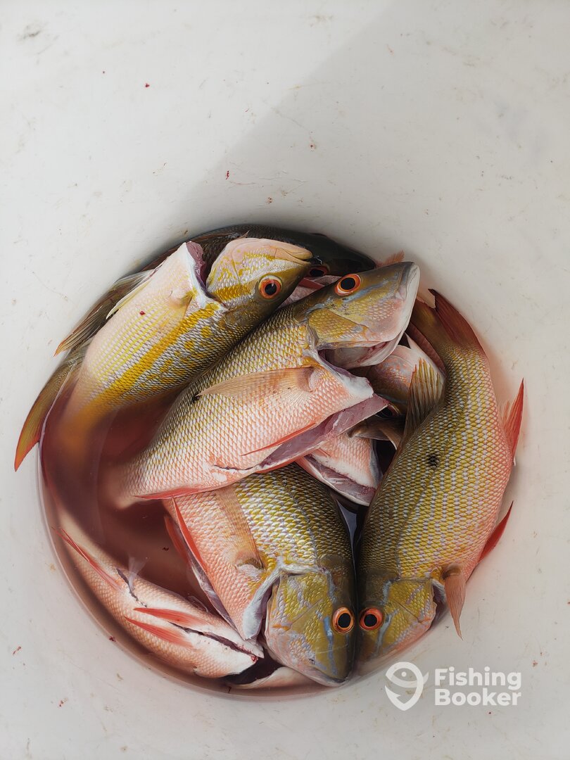 San Pedro Report Photo 0