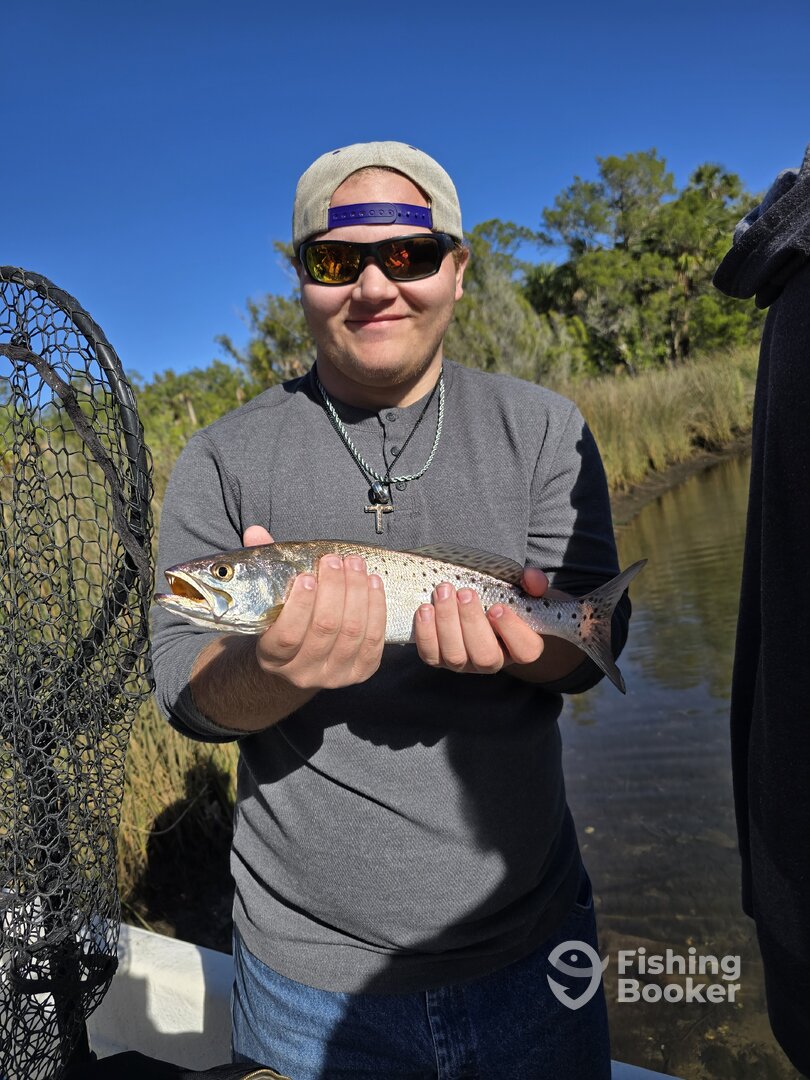 Spring Hill Report Photo 0