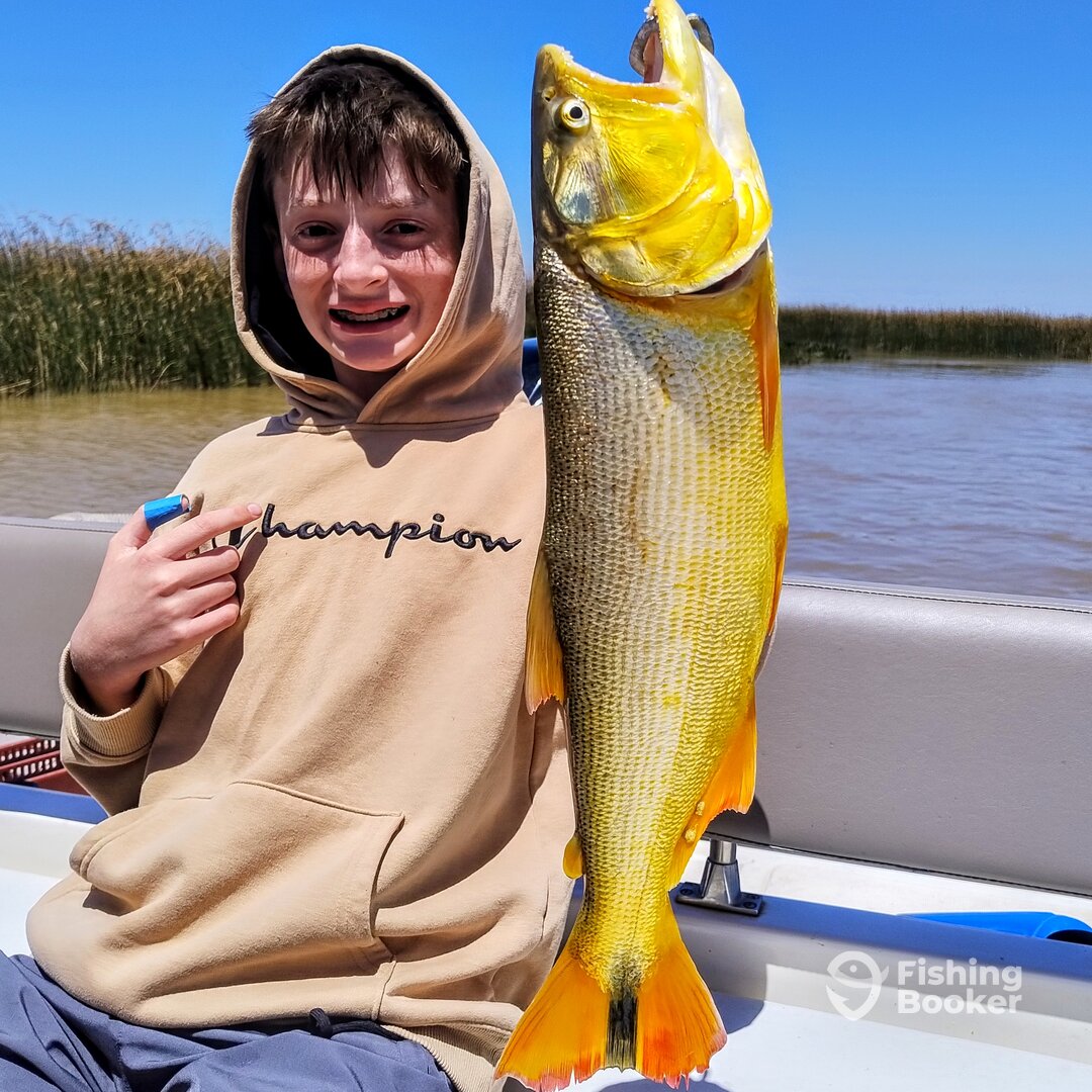 Tigre Report Photo 0