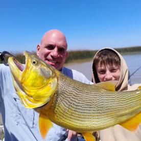 Tigre Report Photo 2