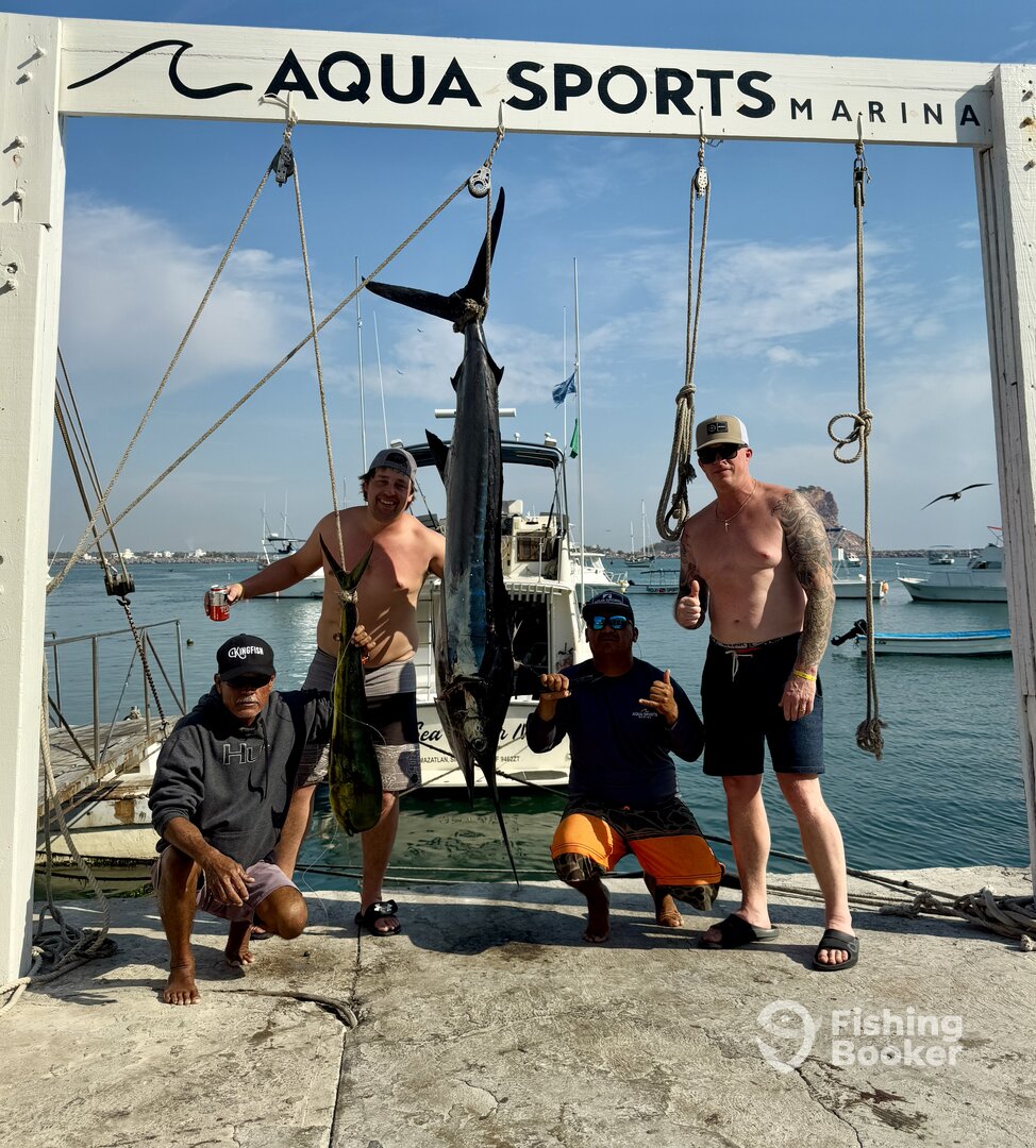 Mazatlán Report Photo 0