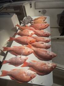 New Years Eve Eve Fishing Fireworks!