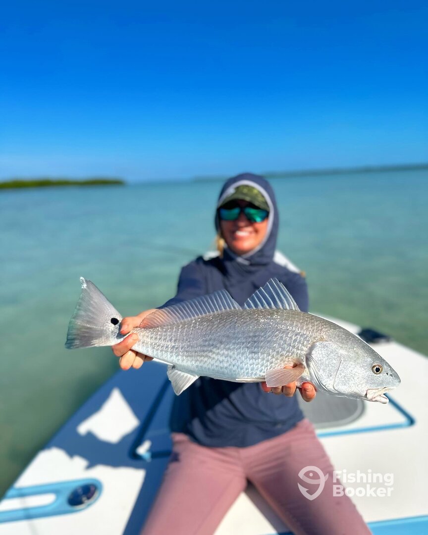 Islamorada Report Photo 0