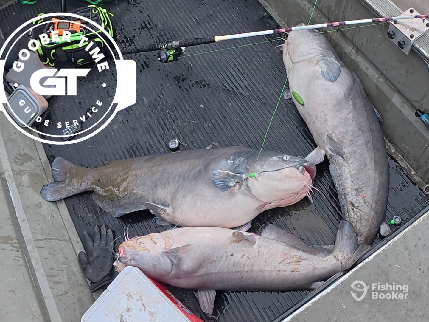 Hopewell Report Photo 0