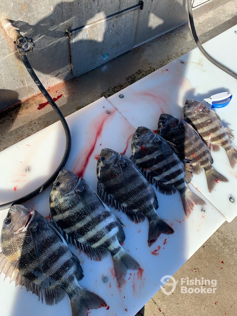 Port Canaveral Report Photo 0