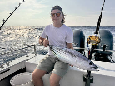 Haleiwa Report Photo 2