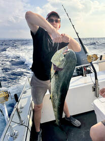 Haleiwa Report Photo 1