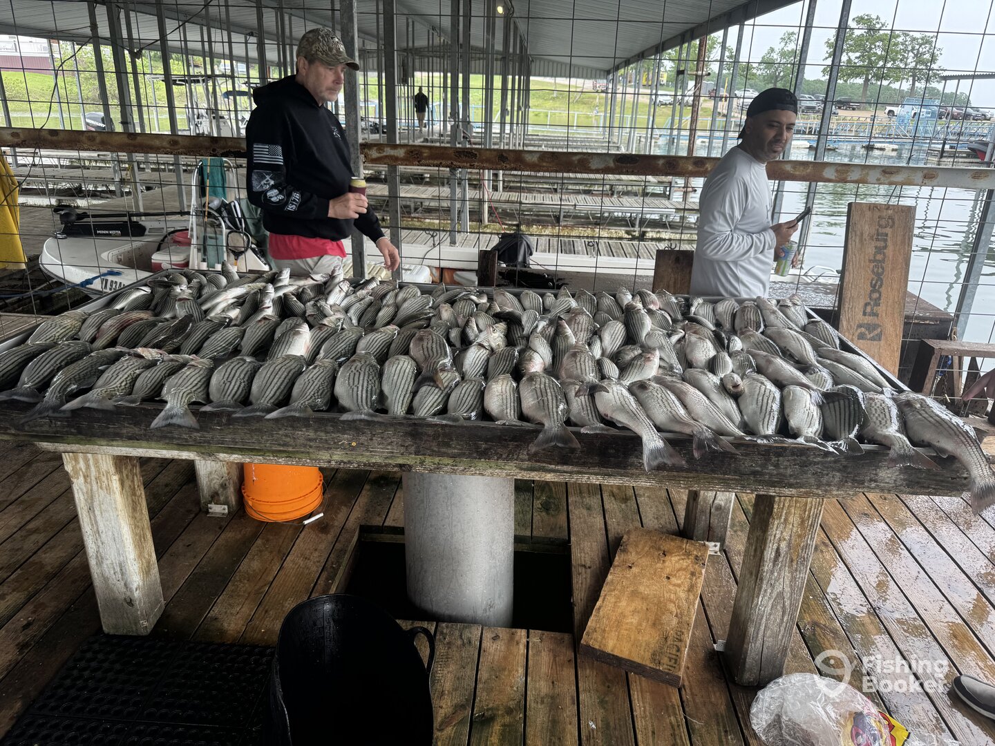 Pottsboro Report Photo 0