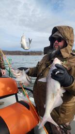 Catfish spankdown 1-1-25