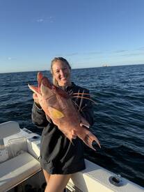 Snapper, hogfish and gags .... Winter Wo