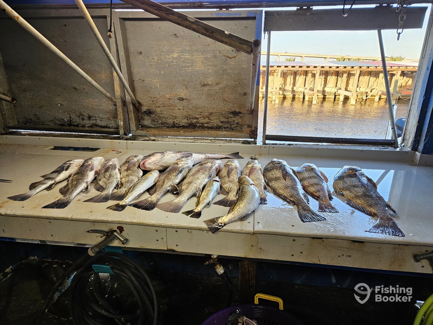 Corpus Christi Report Photo 0