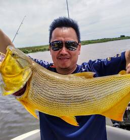 Tigre Report Photo 1