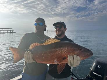 Quepos Report Photo 1