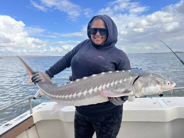 Sturgeon Biting!!!