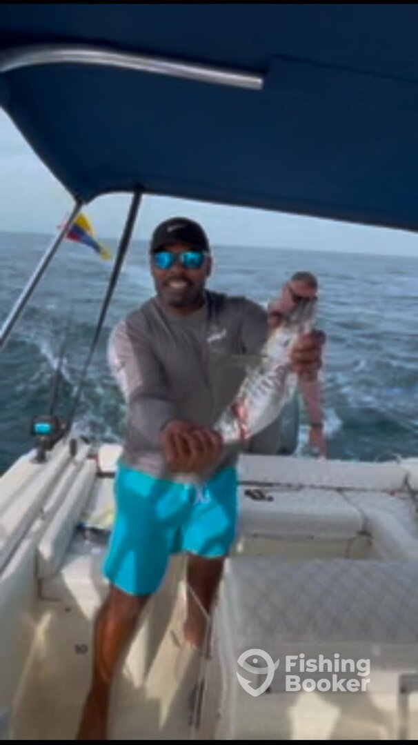 Cartagena Report Photo 0