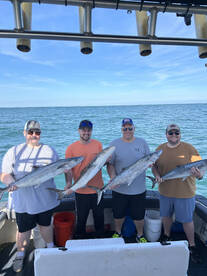 Big kings and cobia