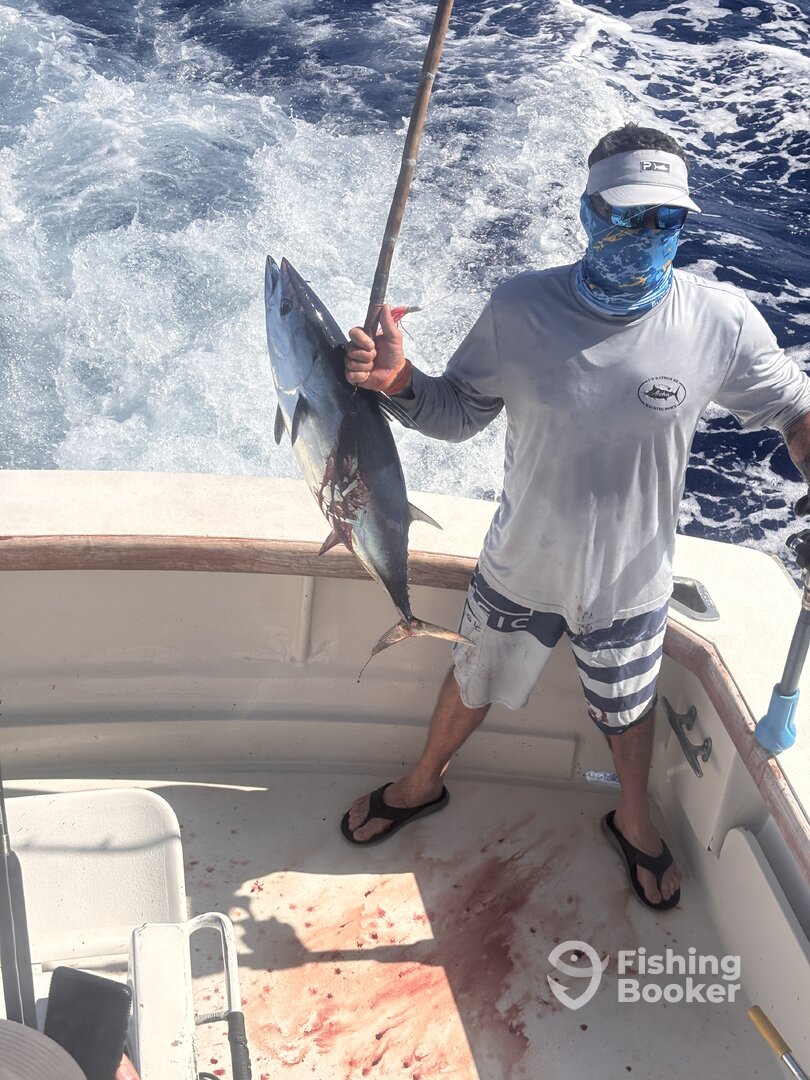 Kailua-Kona Report Photo 0