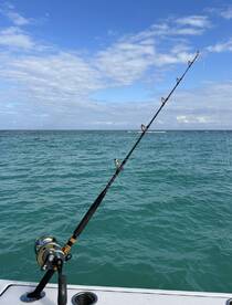 Puerto Aventuras Report Photo 2